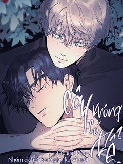 BL 18+ Cây Không Có Rễ